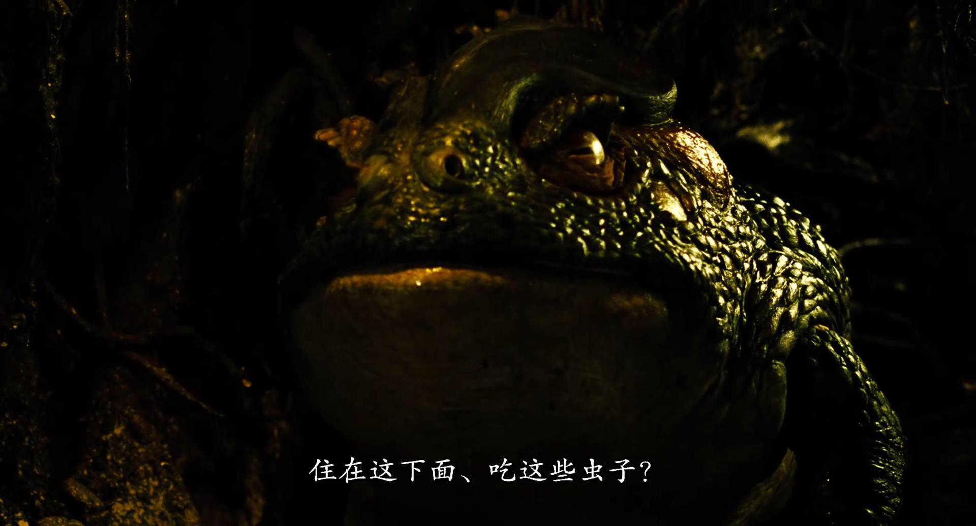 3d761d7037fc3643c.jpg